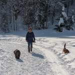 Spaziergang mit Hunden am Jägersee Wagrain-Kleinarl
